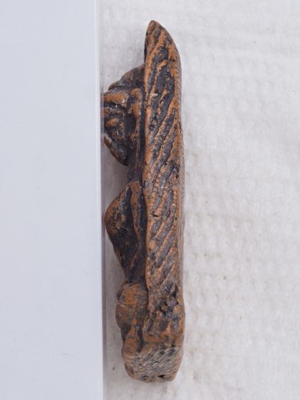 พระผงสุพรรณ 02016909 รูปที่ 4