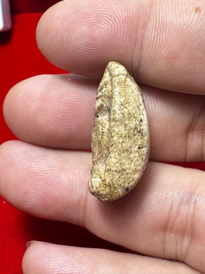 พระวัดพลับ รูปที่ 2