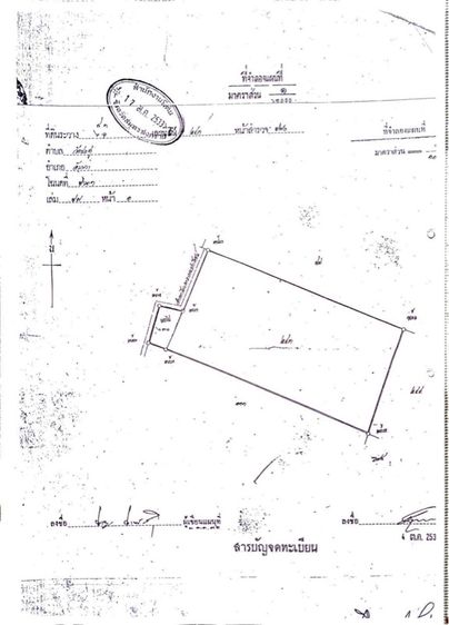 ไม่ใช่ ที่ดินราชบุรีราคาน่ารัก เป็นสวนมะพร้าวมาก่อน รูปที่ 3