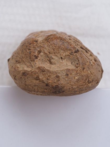 พระเนื้อดิน 02016915 รูปที่ 6