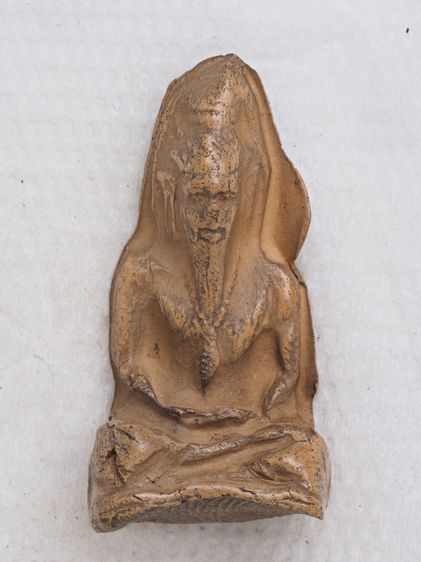 ฤาษีเนื้อดิน 02016916