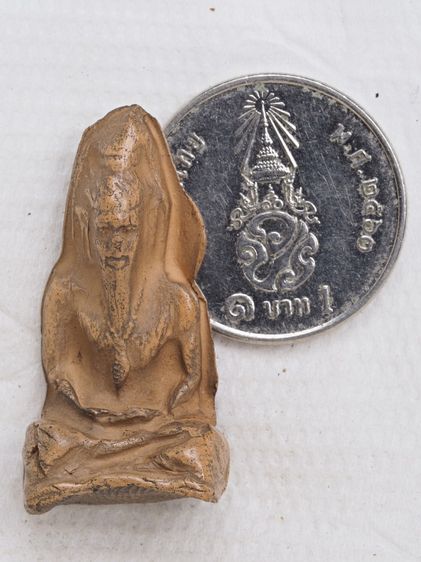 ฤาษีเนื้อดิน 02016916 รูปที่ 3
