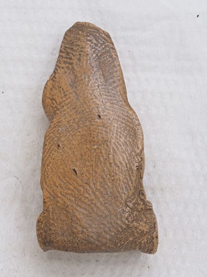 ฤาษีเนื้อดิน 02016916 รูปที่ 2