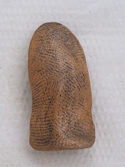 พระรอดเนื้อดิน 02016918 รูปที่ 2