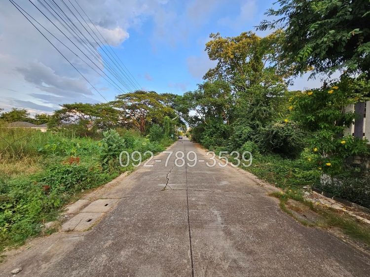 ขายที่ดินเมืองพิษณุโลก 378 ตร.วา ถ.ชัยบุรี1 ใกล้วัดอรัญญิก พิษณุโลก รูปที่ 3