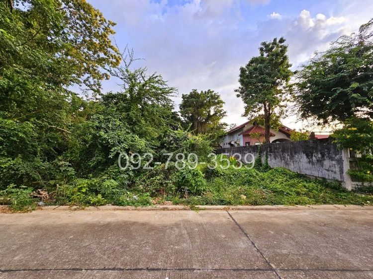 ขายที่ดินเมืองพิษณุโลก 378 ตร.วา ถ.ชัยบุรี1 ใกล้วัดอรัญญิก พิษณุโลก