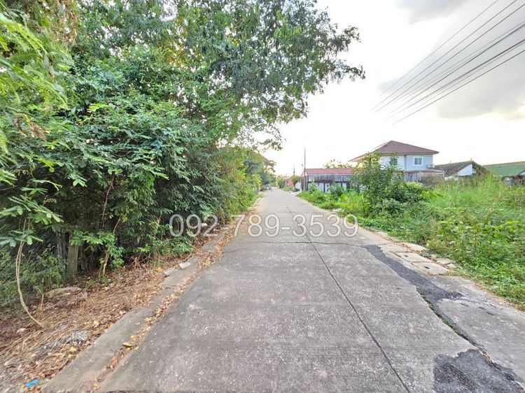 ขายที่ดินเมืองพิษณุโลก 378 ตร.วา ถ.ชัยบุรี1 ใกล้วัดอรัญญิก พิษณุโลก รูปที่ 4