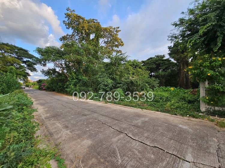 ขายที่ดินเมืองพิษณุโลก 378 ตร.วา ถ.ชัยบุรี1 ใกล้วัดอรัญญิก พิษณุโลก รูปที่ 2