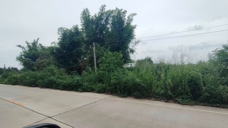 ขายที่ดินโฉนด 7 ไร่ อ. บ้านบึง จ. ชลบุรี ห่างถนนสาย 331 แค่เพียง 700 ม. รูปที่ 2