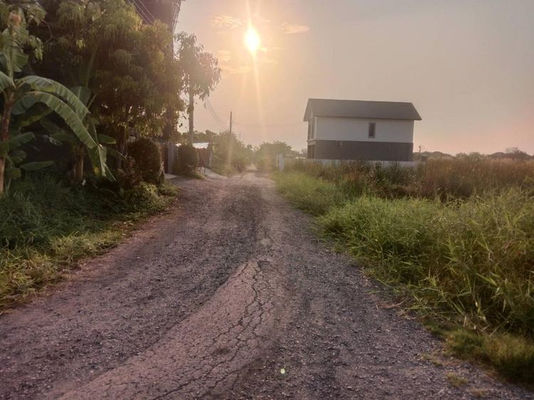 ขายที่ดินแปลงจัดสรร สวย ราคา สวยทำเล จับจองซื้อไว้สบายแน่ ซอยตาลเดี่ยว 120 วา สวยมากๆหน้ากว้าง 24 ม ลึก 20 ม 2.88 ล้านถูก น้ำ ไฟ ถนนครบ รูปที่ 2