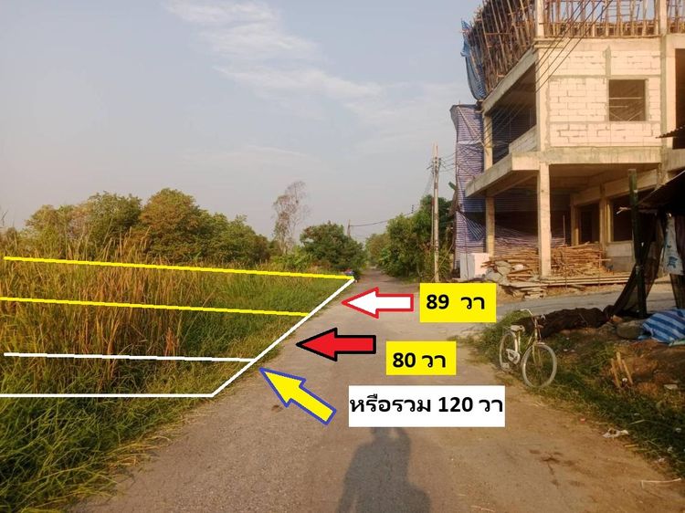 ขายที่ดินแปลงจัดสรร สวย ราคา สวยทำเล จับจองซื้อไว้สบายแน่ ซอยตาลเดี่ยว 120 วา สวยมากๆหน้ากว้าง 24 ม ลึก 20 ม 2.88 ล้านถูก คุ้มมาก รูปที่ 3