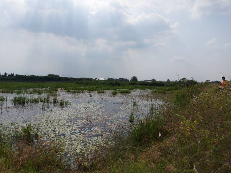 ขายที่ดิน ทำเลดี ต.ดอนตูม อ.บางเลน จ.นครปฐม รูปที่ 2