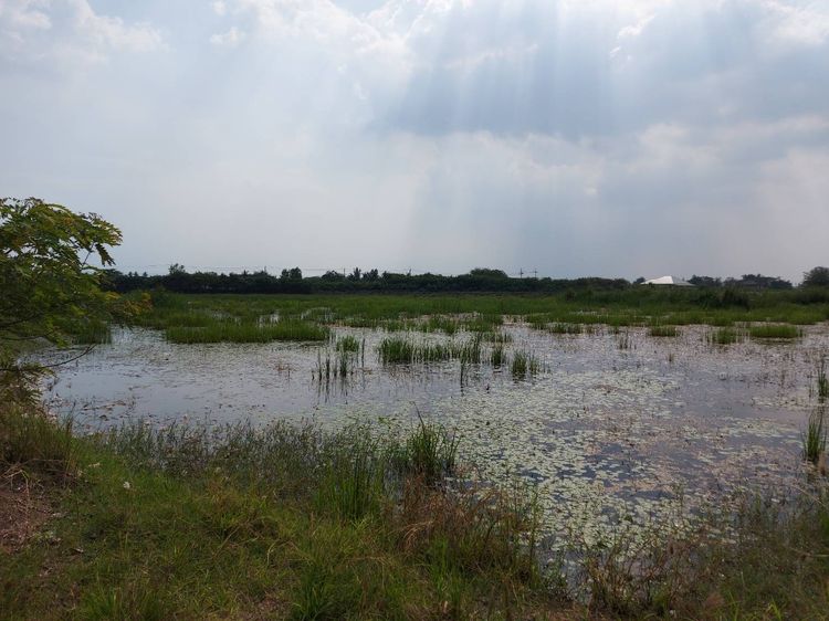 ขายที่ดิน ทำเลดี ต.ดอนตูม อ.บางเลน จ.นครปฐม