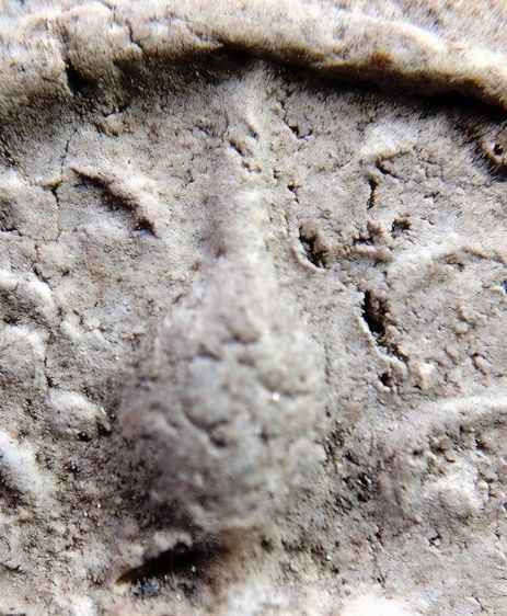 พระสมเด็จ วัดระฆัง บางขุนพรหม วัดเกศไชโย หลวงปู่ภู หลวงปู่นาค รูปที่ 15