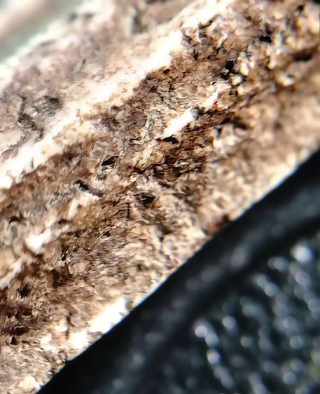 พระสมเด็จ วัดระฆัง บางขุนพรหม วัดเกศไชโย หลวงปู่ภู หลวงปู่นาค รูปที่ 5