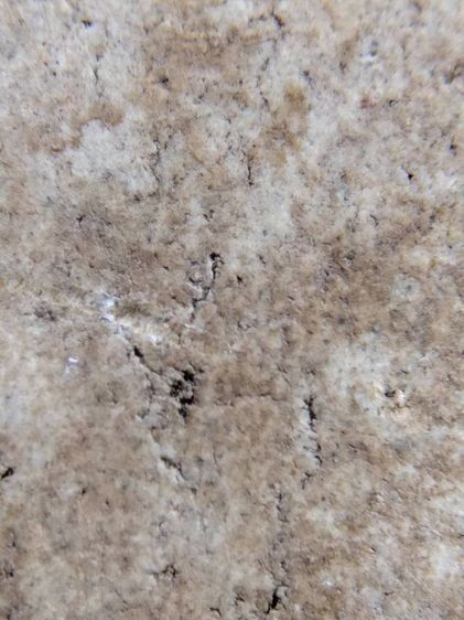 พระสมเด็จ วัดระฆัง บางขุนพรหม วัดเกศไชโย หลวงปู่ภู หลวงปู่นาค รูปที่ 18