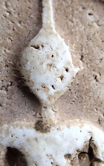 พระสมเด็จ วัดระฆัง บางขุนพรหม วัดเกศไชโย หลวงปู่ภู หลวงปู่นาค