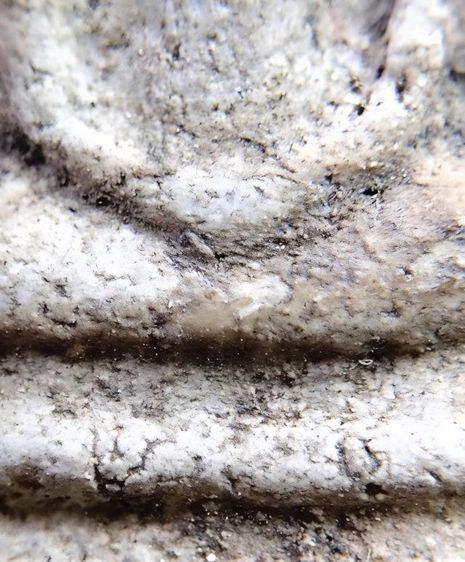 พระสมเด็จ วัดระฆัง บางขุนพรหม วัดเกศไชโย หลวงปู่ภู หลวงปู่นาค รูปที่ 17