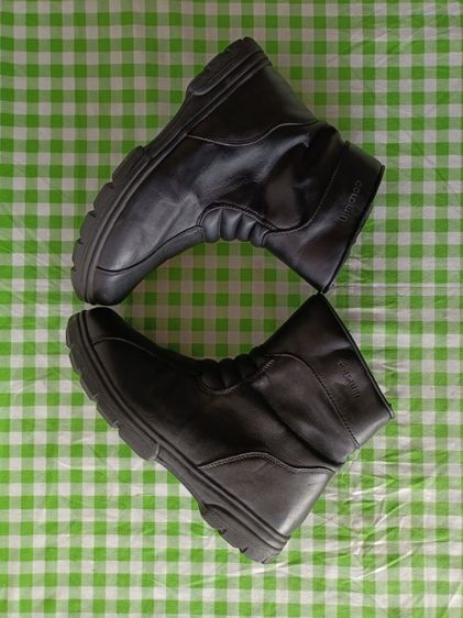 GOLDWIN รูปที่ 5