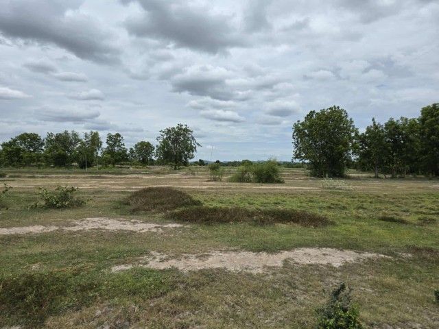 ใช่ ที่ดินเปล่า รูปที่ 2