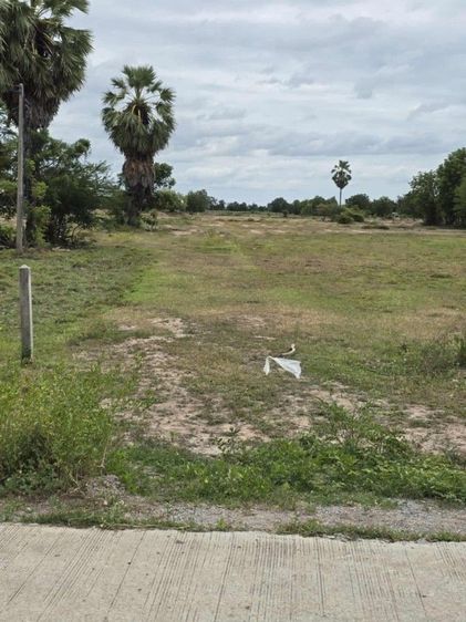 ใช่ ที่ดินเปล่า รูปที่ 4