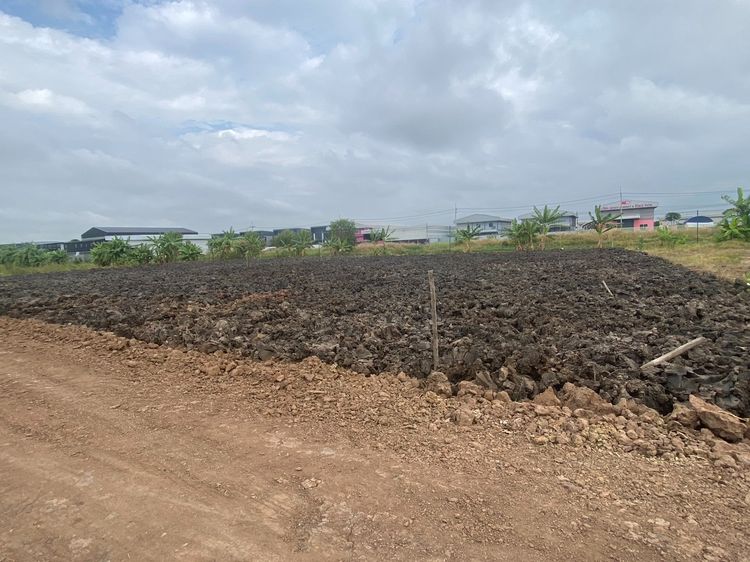 ขายที่ดิน+โกดัง รูปที่ 3