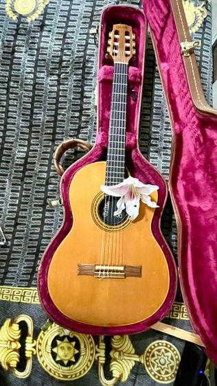 กีต้าร์ ไฟฟ้า กิ๊ปสัน (Gibson) รูปที่ 2