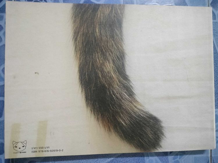 Kingdom of Tiger the Series รูปที่ 2