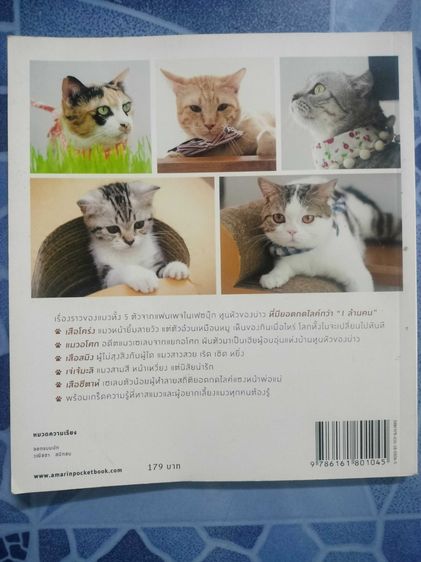 ทูนหัวของบ่าว รูปที่ 2