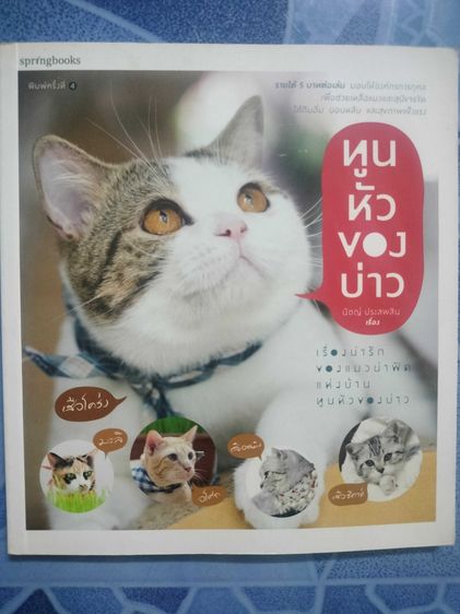 บ้านและที่อยู่อาศัย ทูนหัวของบ่าว