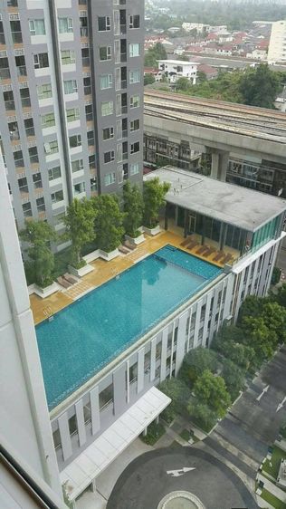 ตกแต่งครบ AP (Thailand) 2018 เลี้ยงสัตว์ได้ ใช่ คอนโด รูปที่ 2