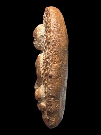 พระเปิมลําพูนกรุเก่าเนื้อดิน รูปที่ 4