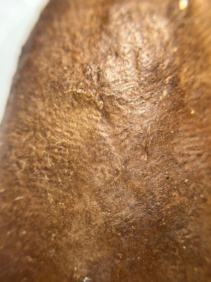 พระเปิมลําพูนกรุเก่าเนื้อดิน รูปที่ 16