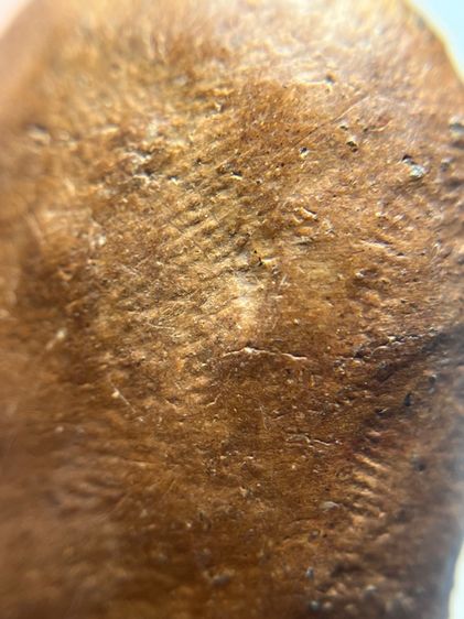 พระเปิมลําพูนกรุเก่าเนื้อดิน รูปที่ 14