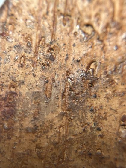 พระขุนแผนกรุบ้านกร่างเนื้อดิน รูปที่ 18