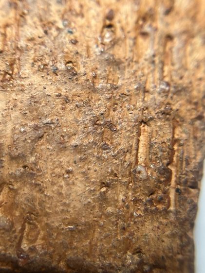 พระขุนแผนกรุบ้านกร่างเนื้อดิน รูปที่ 15