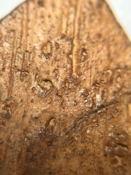 พระขุนแผนกรุบ้านกร่างเนื้อดิน รูปที่ 17