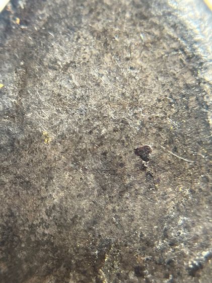 พระปิดตาเก้าพระองค์คลุกรักปิดทอง รูปที่ 12