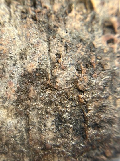 พระขุนแผนกรุบ้านกลางลงรักปิดทอง รูปที่ 16