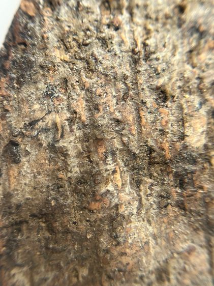 พระขุนแผนกรุบ้านกลางลงรักปิดทอง รูปที่ 14