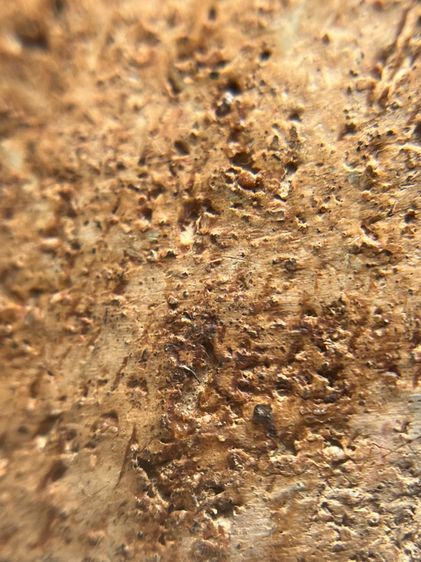 หลวงพ่อโตกรุวัดบางกระทิง พิมพ์สมาธิ เนื้อดิน รูปที่ 12