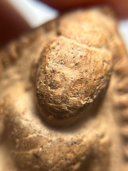 หลวงพ่อโตกรุวัดบางกระทิง พิมพ์สมาธิ เนื้อดิน รูปที่ 5