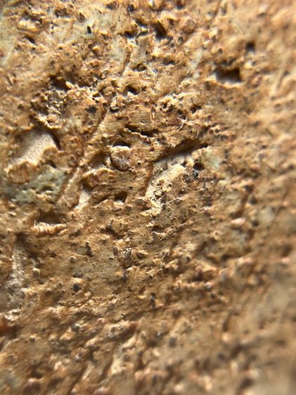 หลวงพ่อโตกรุวัดบางกระทิง พิมพ์สมาธิ เนื้อดิน รูปที่ 15