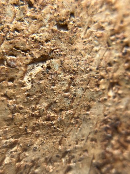 หลวงพ่อโตกรุวัดบางกระทิง พิมพ์สมาธิ เนื้อดิน รูปที่ 14