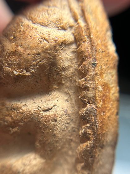 หลวงพ่อโตกรุวัดบางกระทิง พิมพ์สมาธิ เนื้อดิน รูปที่ 11