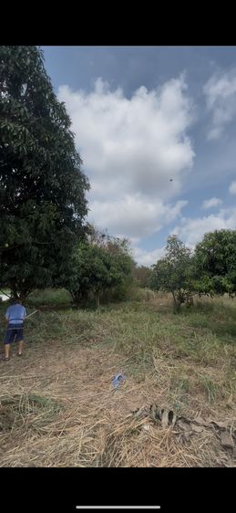 ขายด่วน ที่ดินทำเลทอง สัตหีบ รูปที่ 3