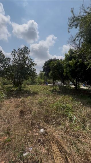 ขายด่วน ที่ดินทำเลทอง สัตหีบ รูปที่ 2