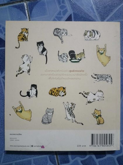 บ้านหลังใหญ่ by ทูนหัวของบ่าว รูปที่ 2