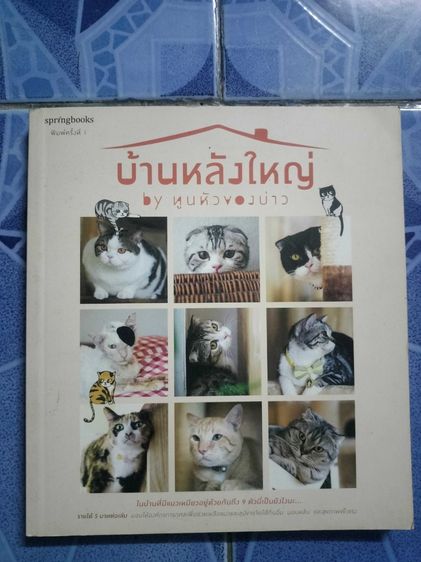 บ้านและที่อยู่อาศัย บ้านหลังใหญ่ by ทูนหัวของบ่าว