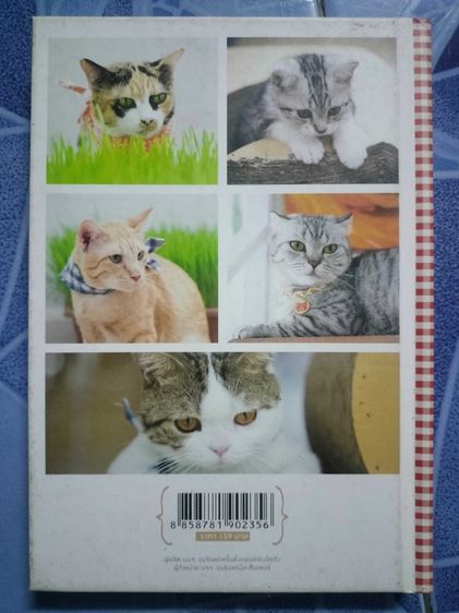 ไดอารี่ ทูนหัวของบ่าว รูปที่ 2